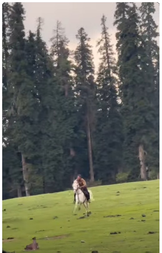 Horse riding in Gulmarg meadow